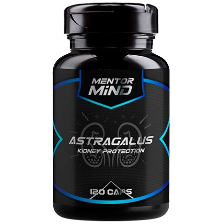 Mentor Mind Astragalus 120 капсул
