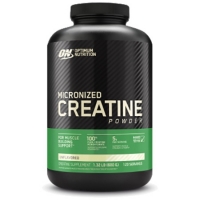 Optimum Nutrition Creatine Powder 600г