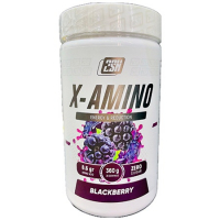 2SN X-amino 360г