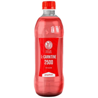 Nature Foods L-Carnitine 2500 500мл
