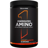 Rule 1 Energized AMINO 270г